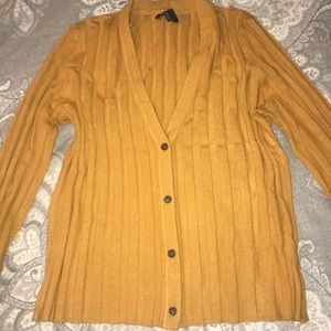 American Eagle Cardigan